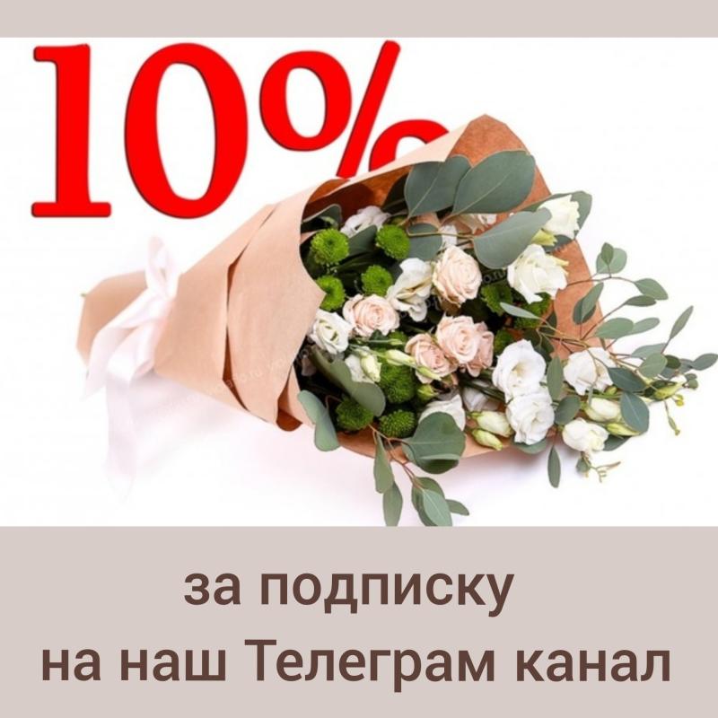 Скидка 10% за подписку на наш Телеграм канал